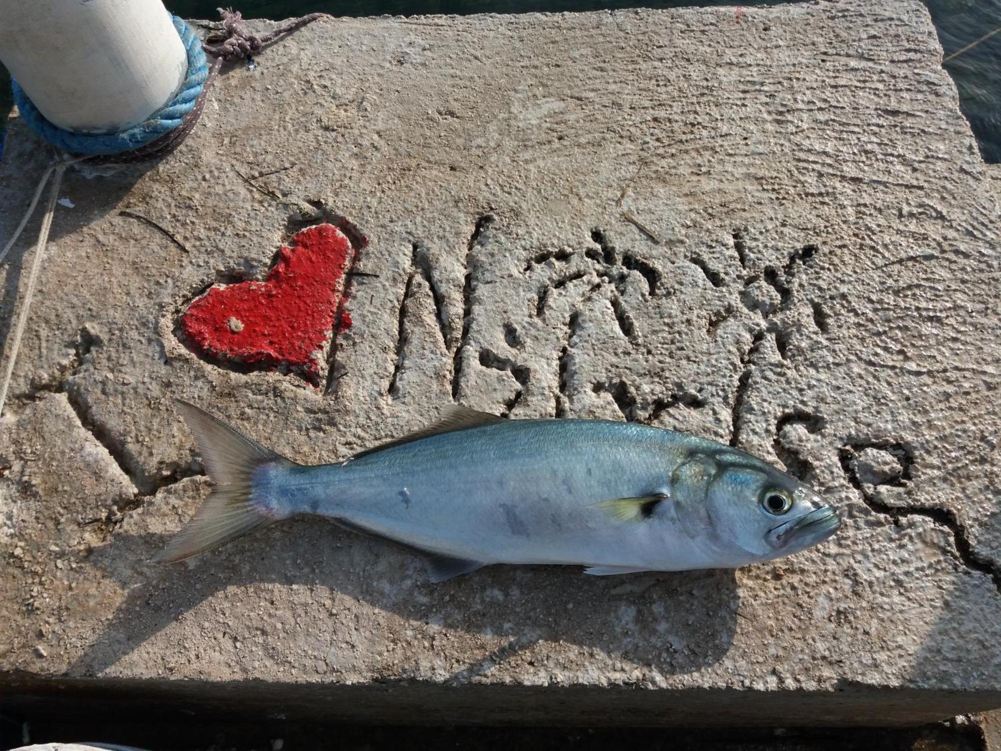 Apartment "I Love Njivice" Herceg Novi Bagian luar foto